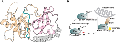英国上市公司365