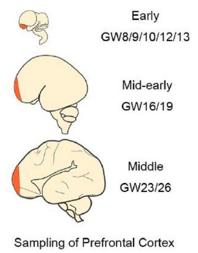 英国上市公司365