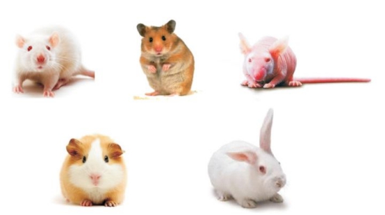 英国上市公司365