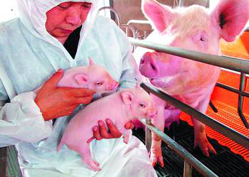 英国上市公司365