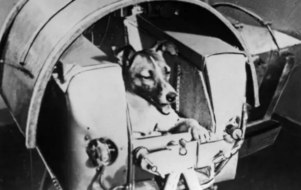 英国上市公司365