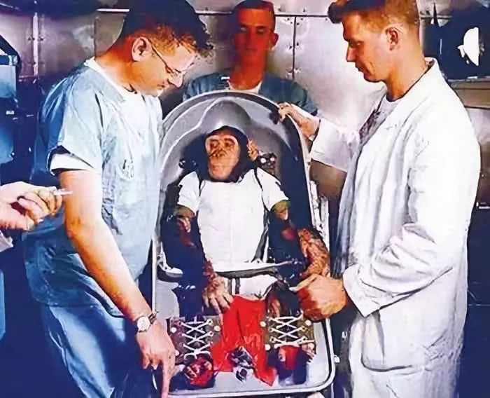 英国上市公司365