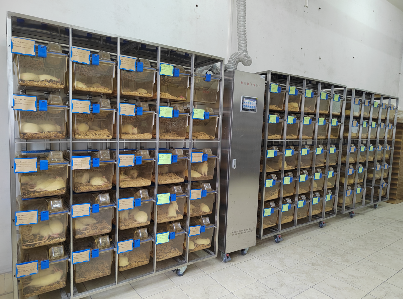 英国上市公司365