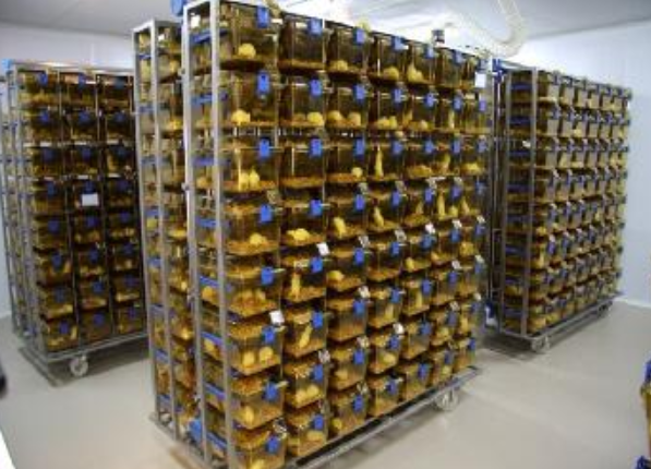 英国上市公司365