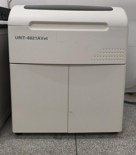 英国上市公司365