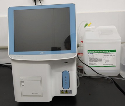 英国上市公司365