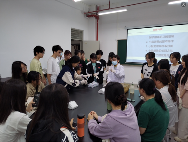 英国上市公司365